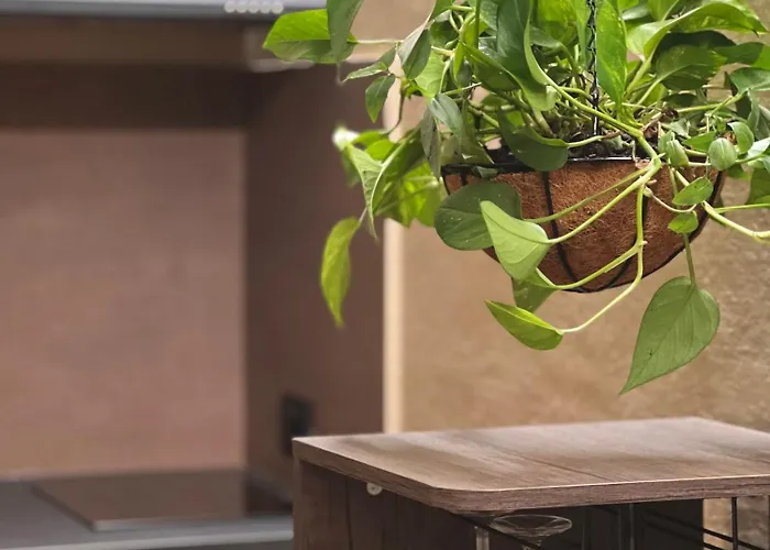 Gasthuis Corte Dei Pini